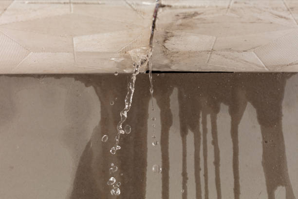 Professional Burst Pipe Cleanup technician working in Chapel Hill, TN